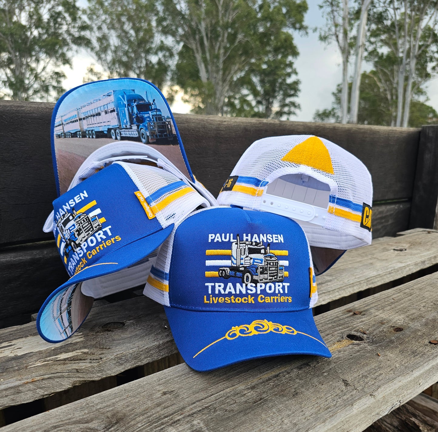 Paul Hansen Transport Livestock Carriers