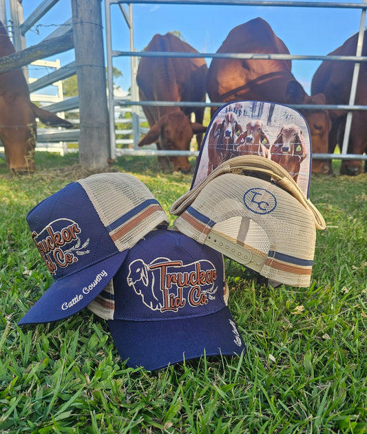 Cattle Country
