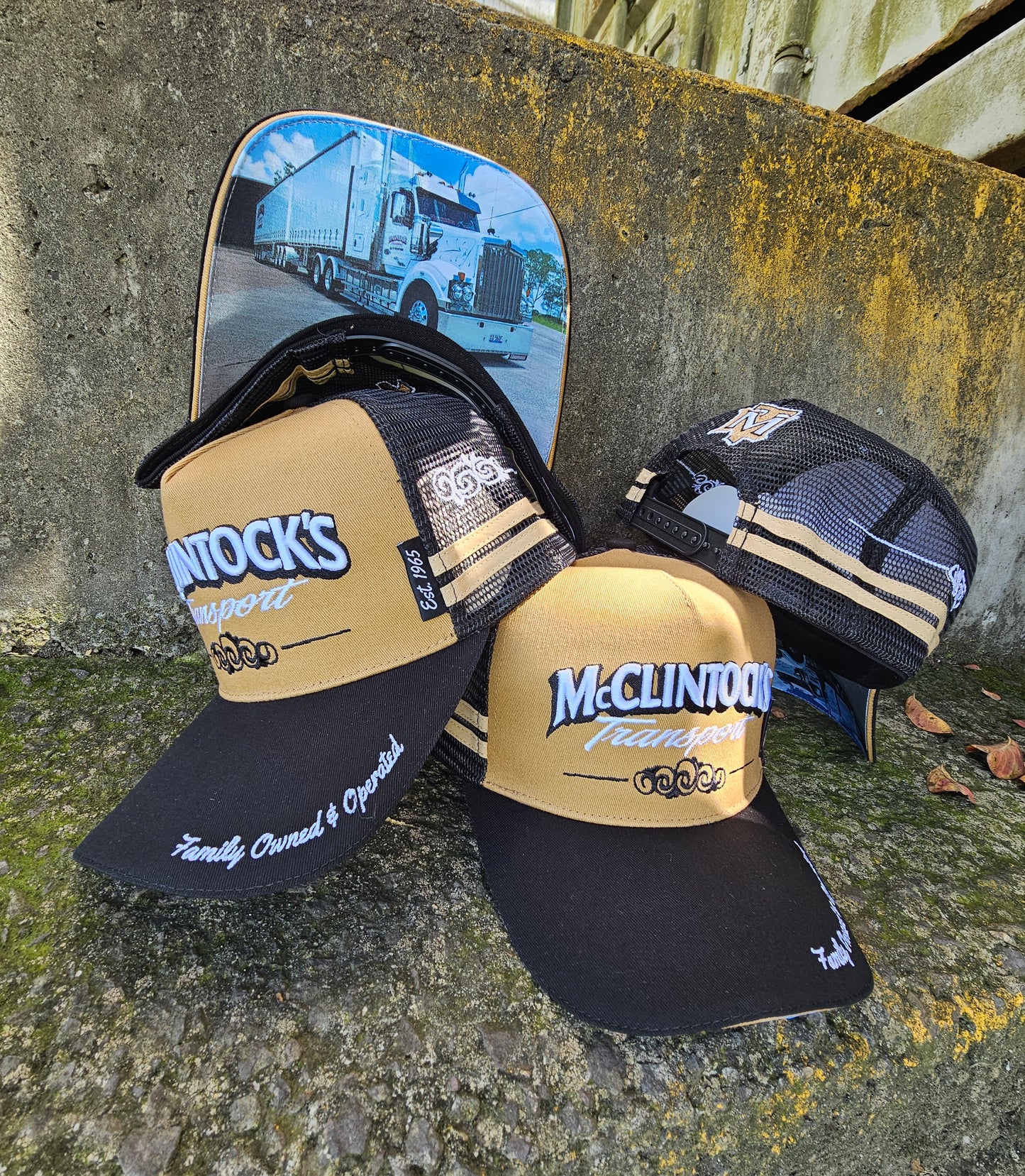 Mcclintock's Transport